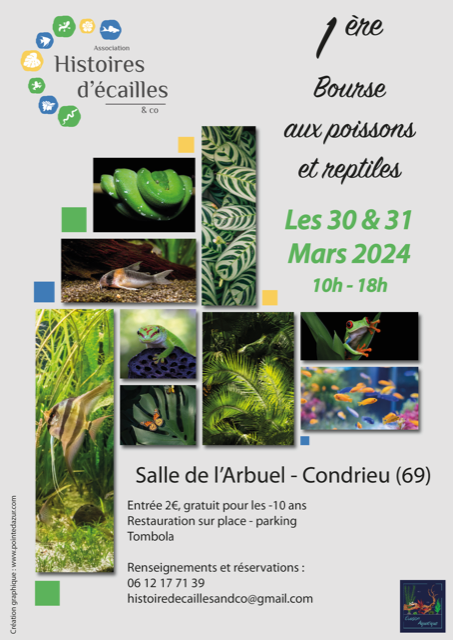condrieu_2024